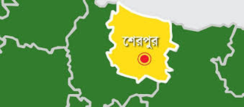 শেরপুরে বন্যহাতির আক্রমণ, নিহত ১