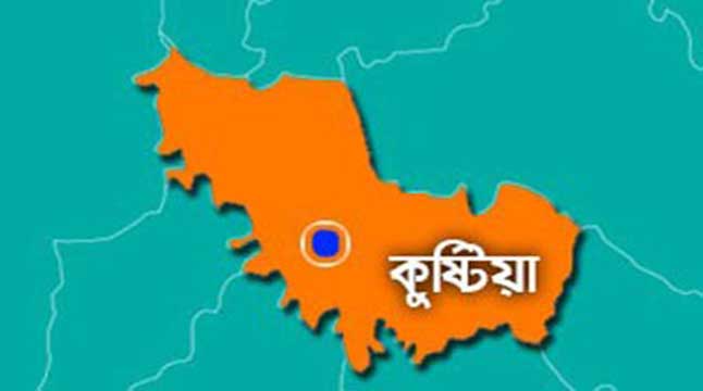 কুষ্টিয়ার ভেড়ামারায় ইউএনও লাঞ্ছিতের ঘটনায় অভিযুক্ত আটক