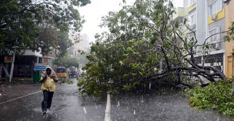 ভারতের তামিলনাড়ুতে ভার্দাহর তাণ্ডবে নিহত ১২