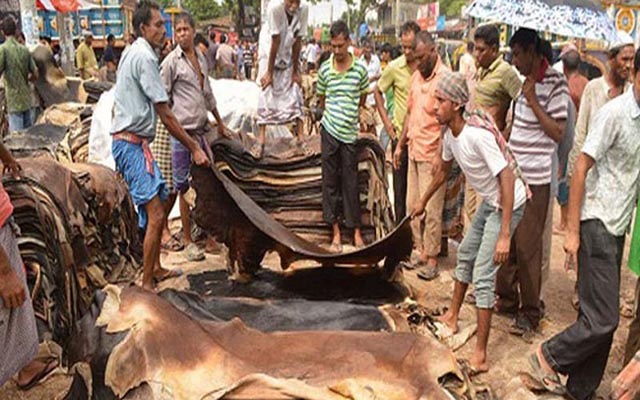 কোরবানীর পশুর চামড়ার দাম নির্ধারণ